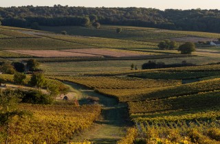 REDISCOVER LE TOUR DE FRANCE